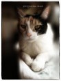 /album/photogallery/rusty800-jpg/