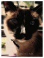 /album/photogallery/papu800-jpg/