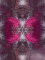 /album/photogallery/C-clarity800-jpg/